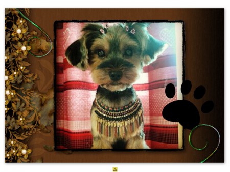 coupe spécifique ,un nouveau style à la mode